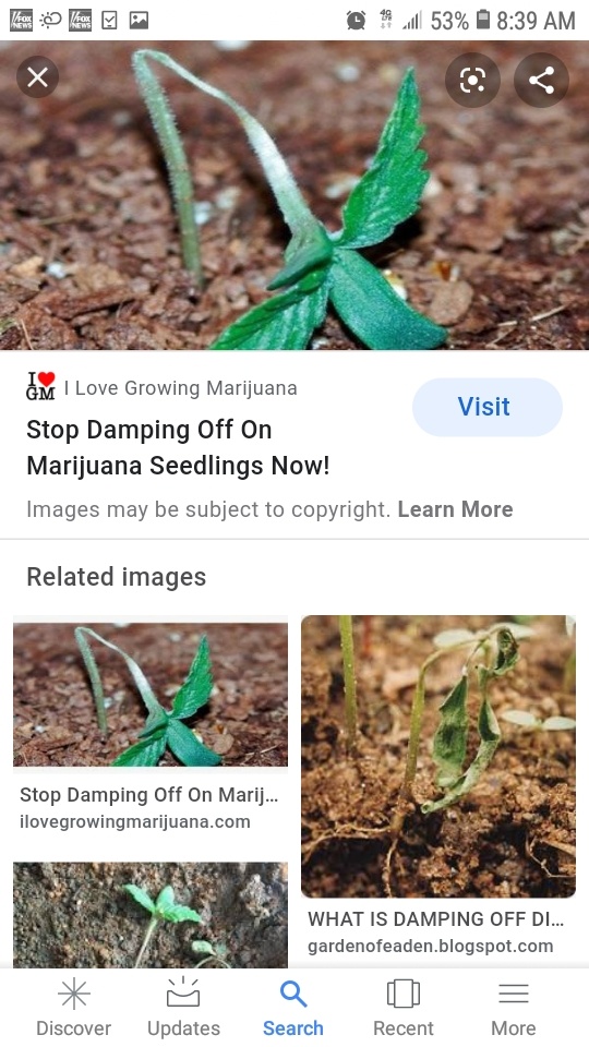 Screenshot 20200503 083947 Google
