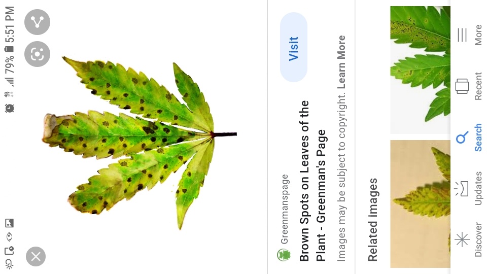 Screenshot 20200519 175127 Google