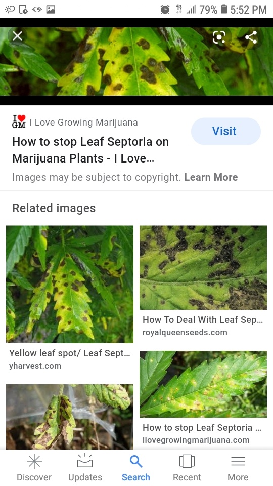 Screenshot 20200519 175227 Google