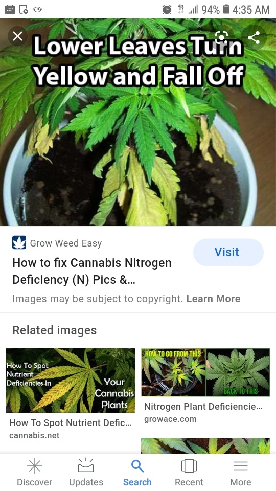 Screenshot 20200522 043526 Google