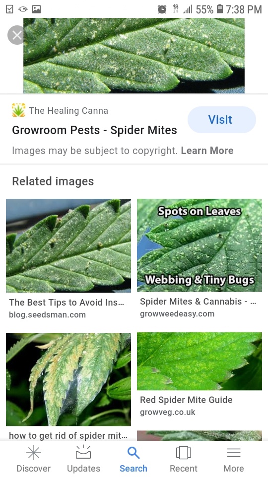 Screenshot 20200527 193847 Google