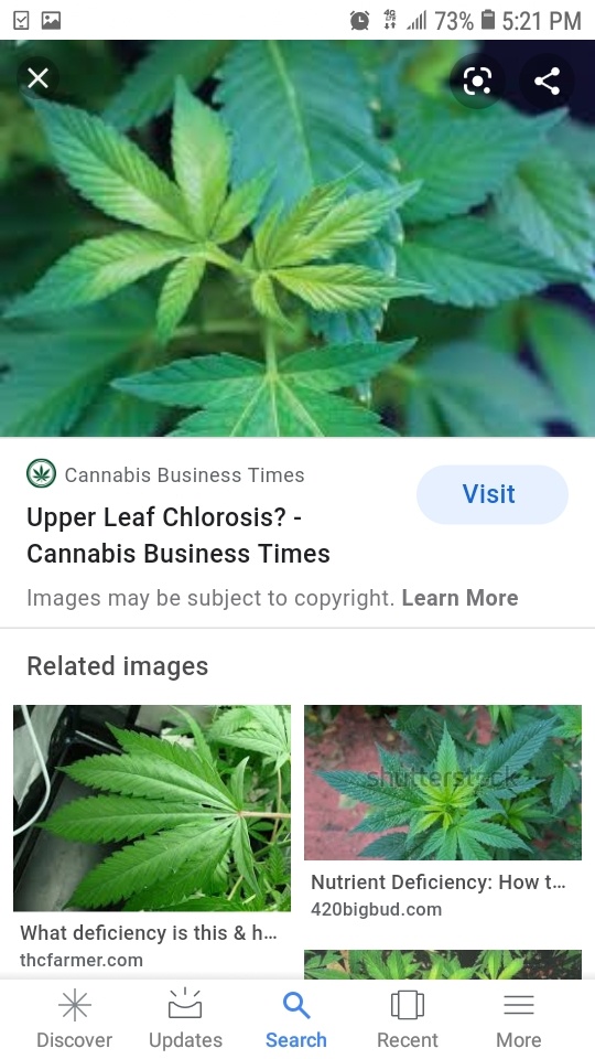Screenshot 20200602 172142 Google