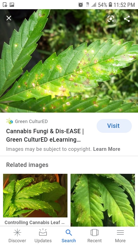 Screenshot 20200613 235200 Google