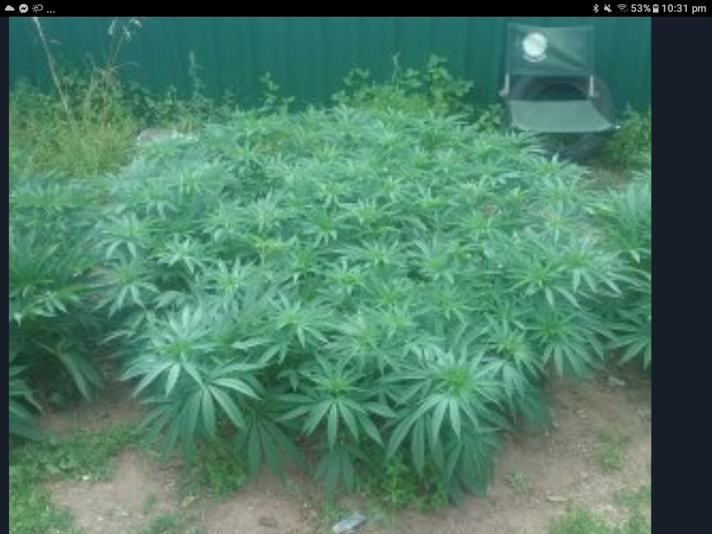 Screenshot 20200625 223136