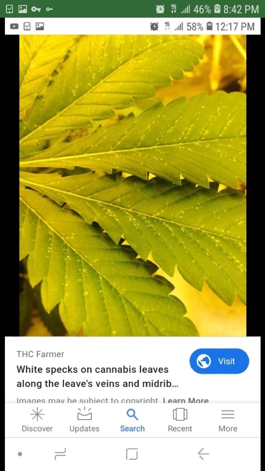 Screenshot 20200630 204238 Chrome