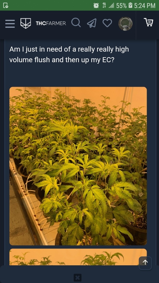 Screenshot 20200704 172407 Chrome