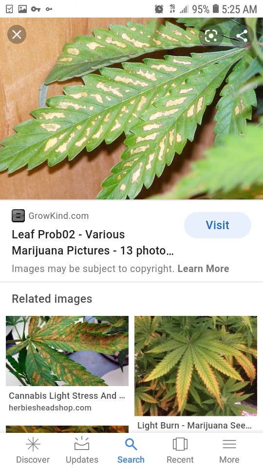 Screenshot 20200713 052549 Google