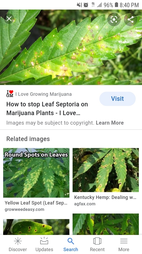 Screenshot 20200727 204028 Google