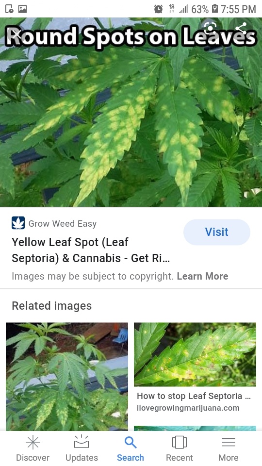 Screenshot 20200814 195557 Google