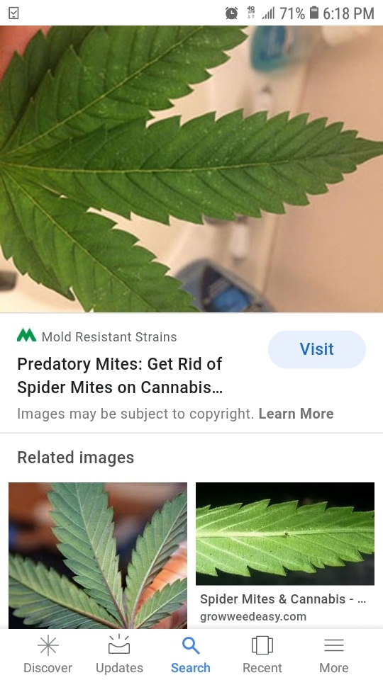 Screenshot 20200824 181852 Google