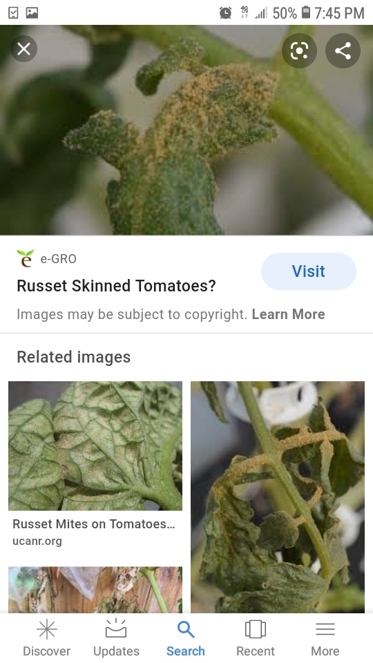Screenshot 20200825 194501 Google