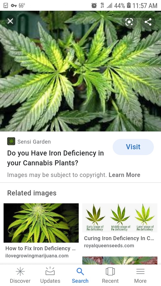 Screenshot 20200914 115704 Google