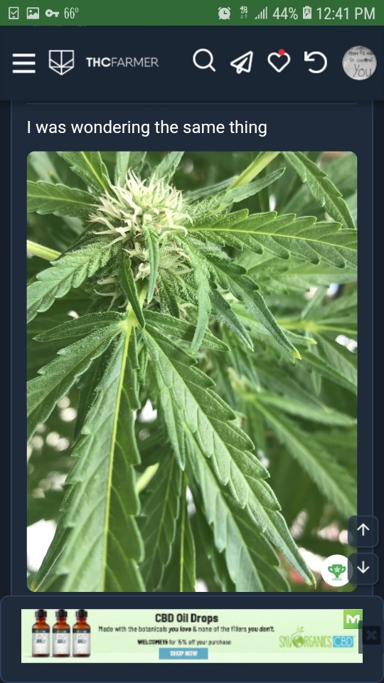 Screenshot 20200914 124120 Chrome