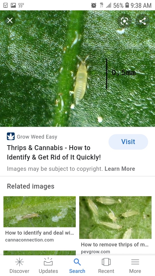 Screenshot 20200915 093806 Google