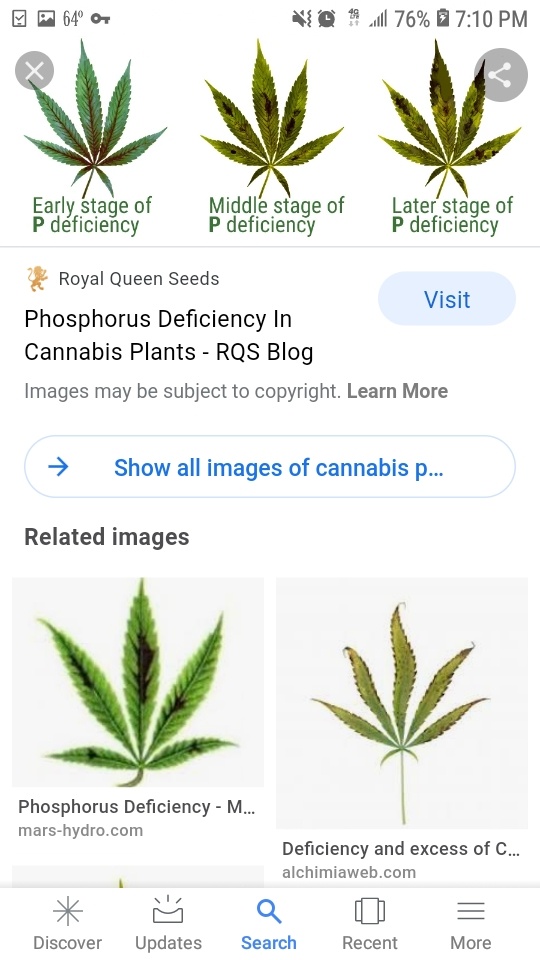 Screenshot 20200916 191019 Google