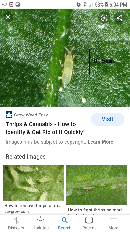 Screenshot 20201001 180457 Google