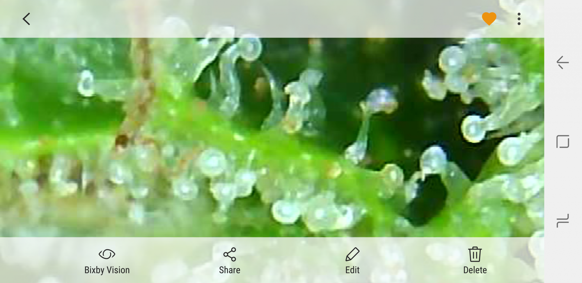 Screenshot 20201007 180307