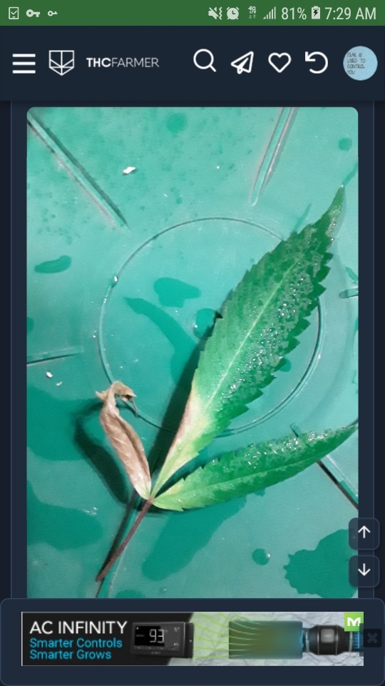 Screenshot 20201012 072957 Chrome