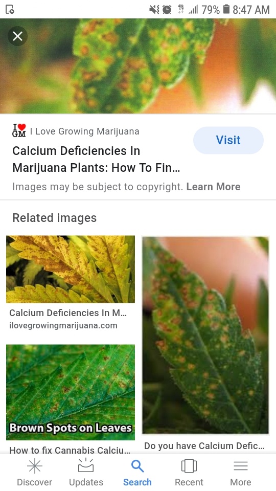 Screenshot 20201013 084710 Google