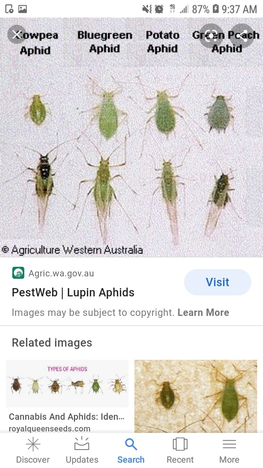 Screenshot 20201014 093720 Google