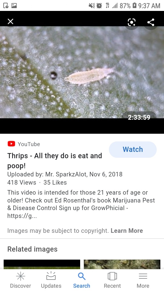 Screenshot 20201014 093759 Google