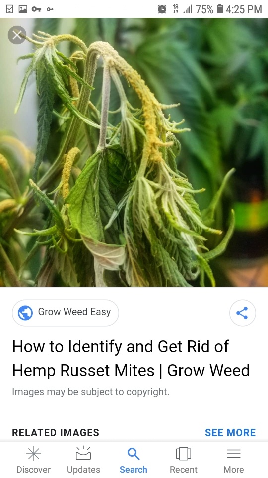 Screenshot 20201024 162556 Google