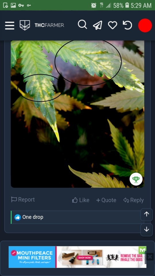 Screenshot 20201104 052934 Chrome