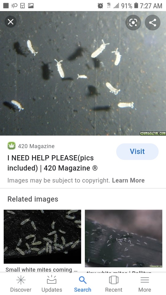 Screenshot 20201111 072733 Google