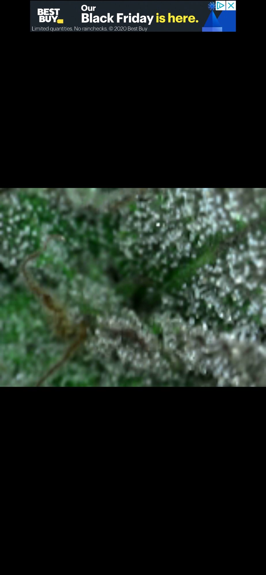 Screenshot 20201123 203938