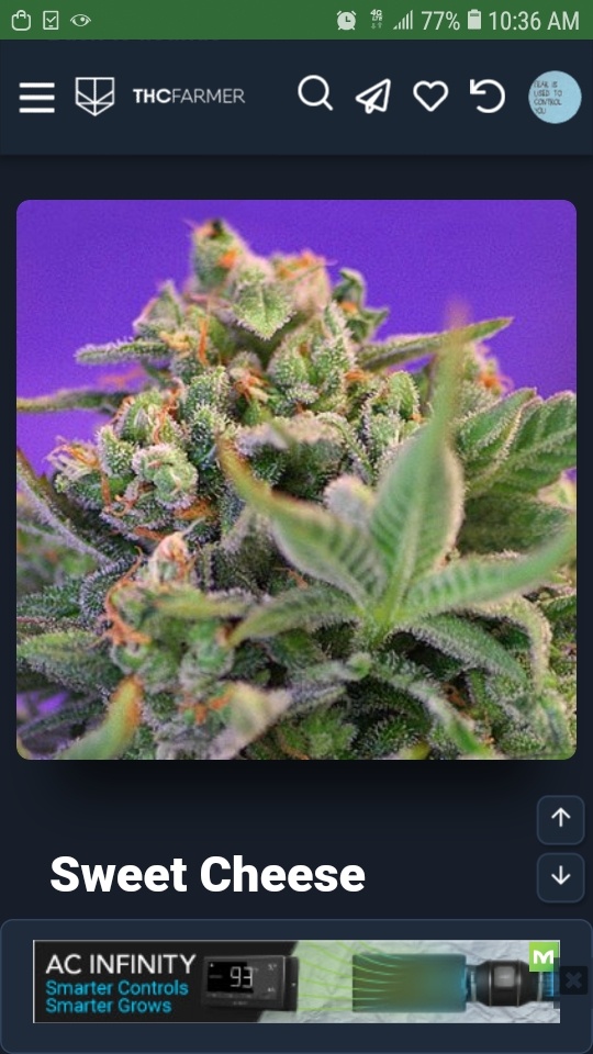 Screenshot 20201128 103625 Chrome