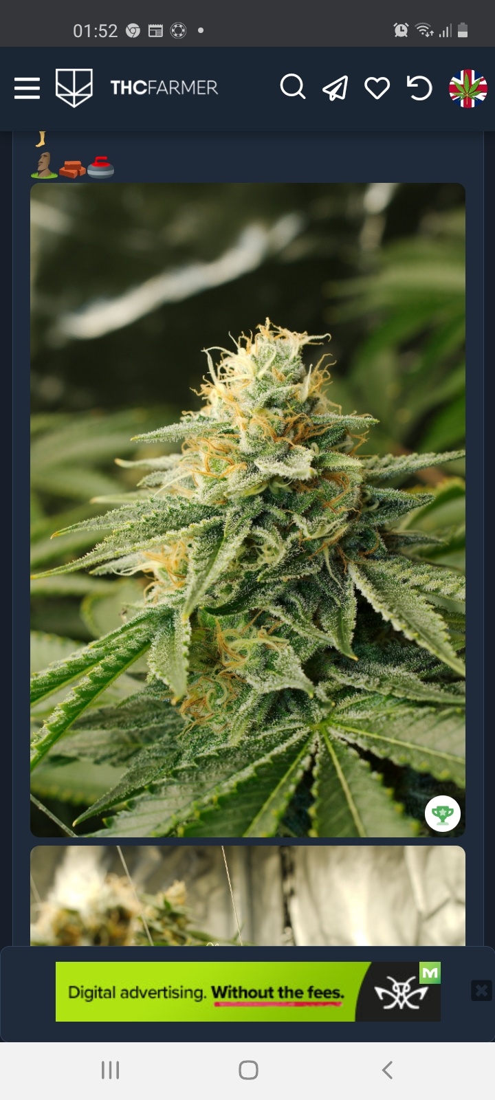 Screenshot 20201219 015209 Chrome