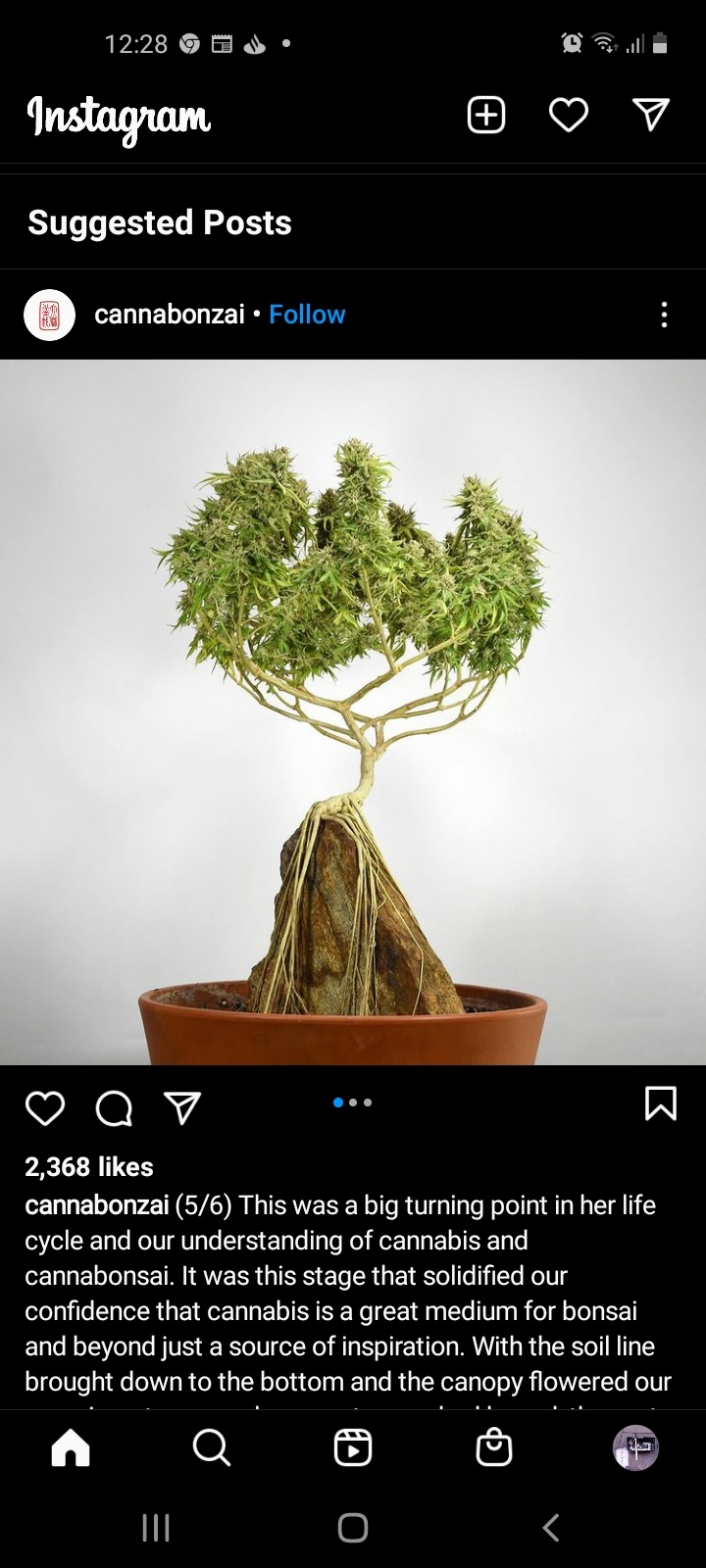 Screenshot 20201223 122834 Instagram