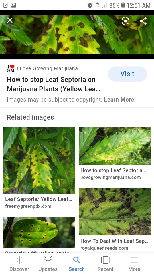 Screenshot 20201229 005150 Google