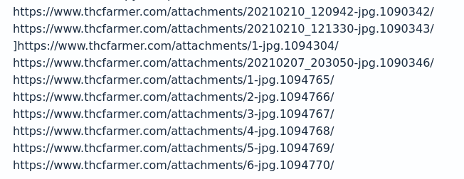 Screenshot 2021 02 22 20 31 41