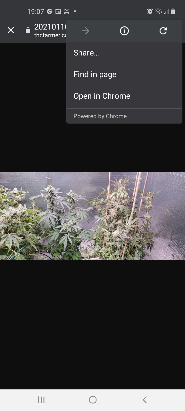 Screenshot 20210113 190708 Chrome