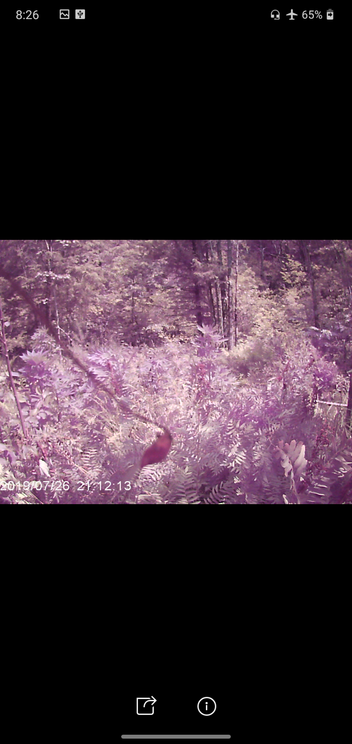 Screenshot 20210703 202611