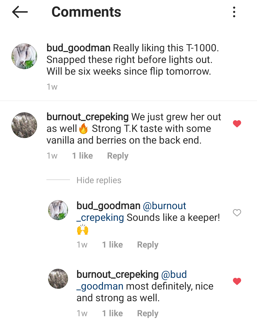 Screenshot 20210803 1834082
