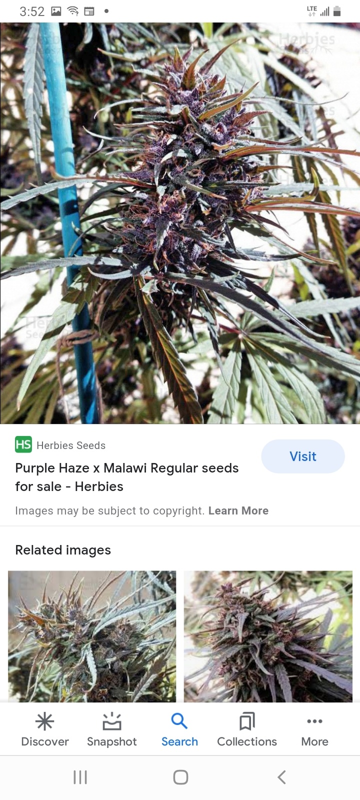 Screenshot 20210826 035223 Google