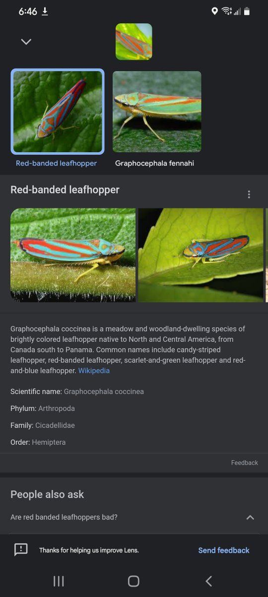 Screenshot 20220110 184606 Google