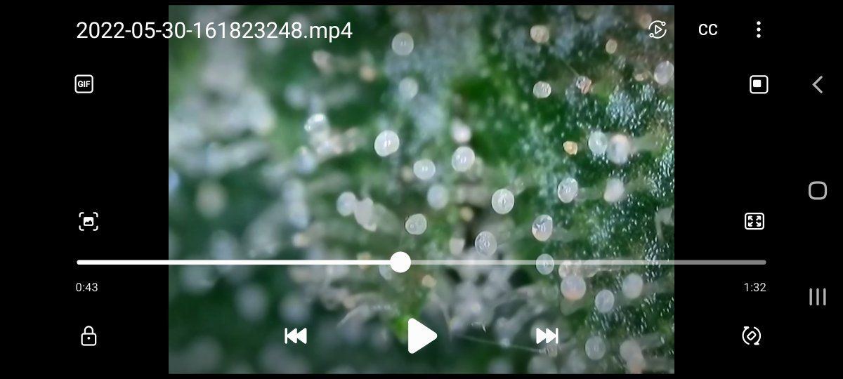 Screenshot 20220608 182537 Video Player