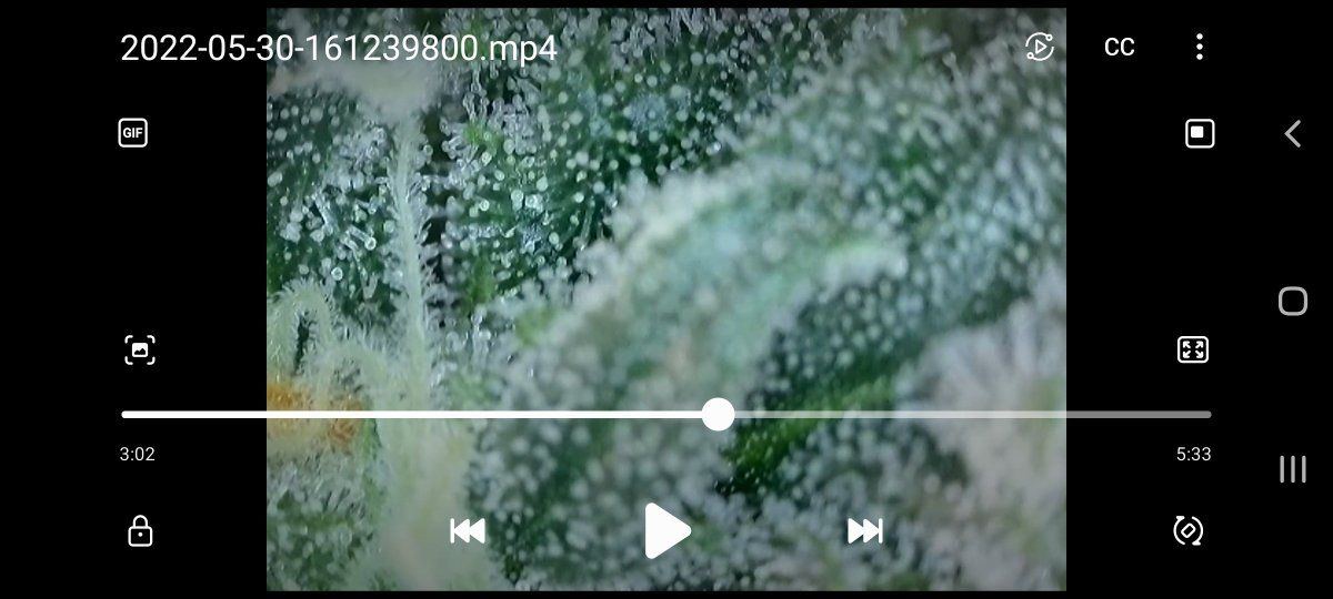 Screenshot 20220608 183051 Video Player