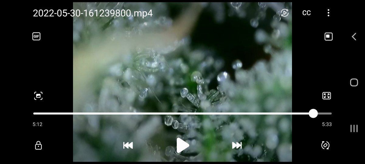 Screenshot 20220608 183306 Video Player