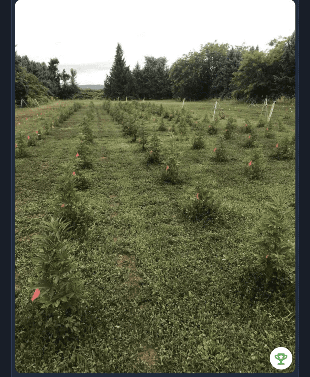 Screenshot 20220722 121205
