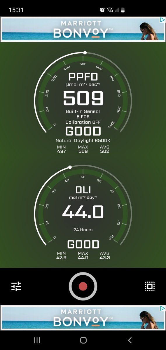 Screenshot 20220904 153141 PPFD Meter