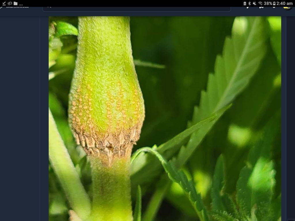Screenshot 20220909 024032