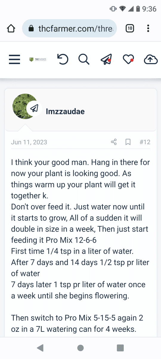 Screenshot 20230620 093630