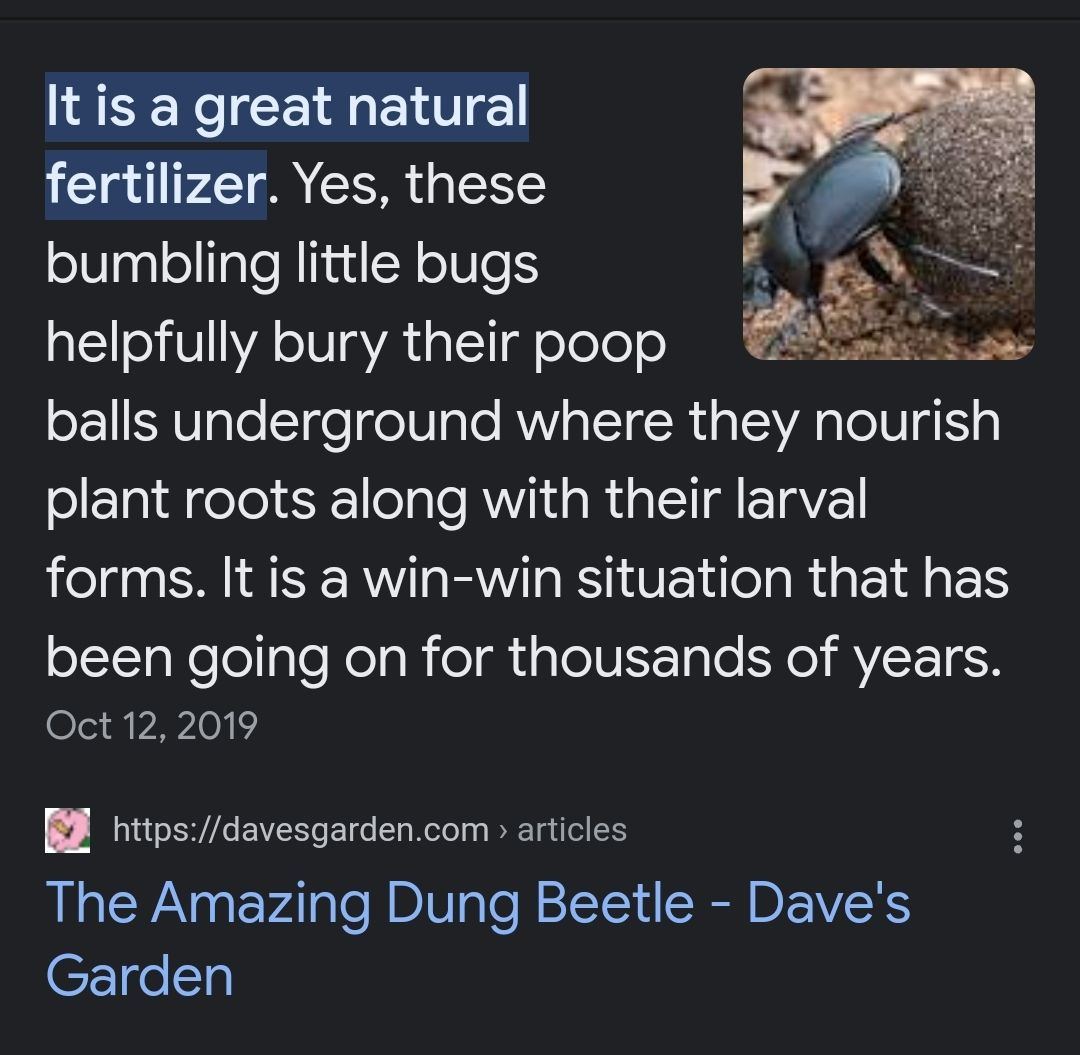 Screenshot 20230920 220541 Chrome
