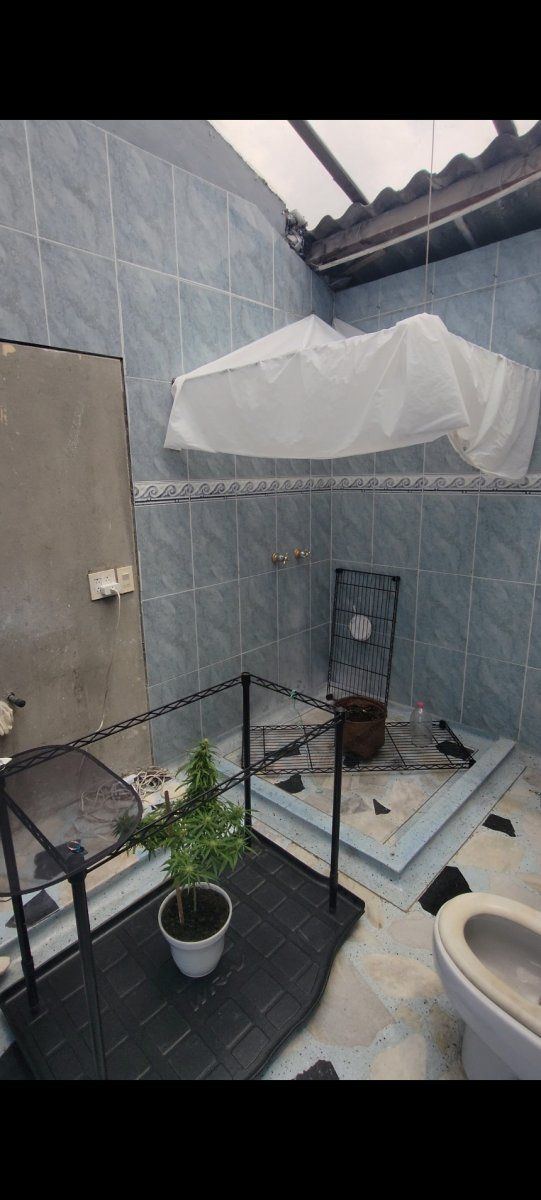 Screenshot 20230929 112354 Gallery