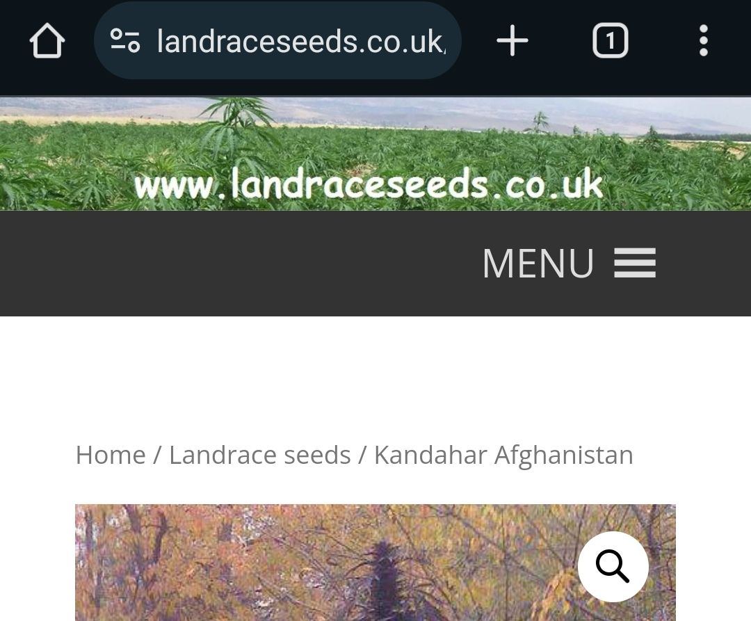 Screenshot 20231128 185442 Chrome