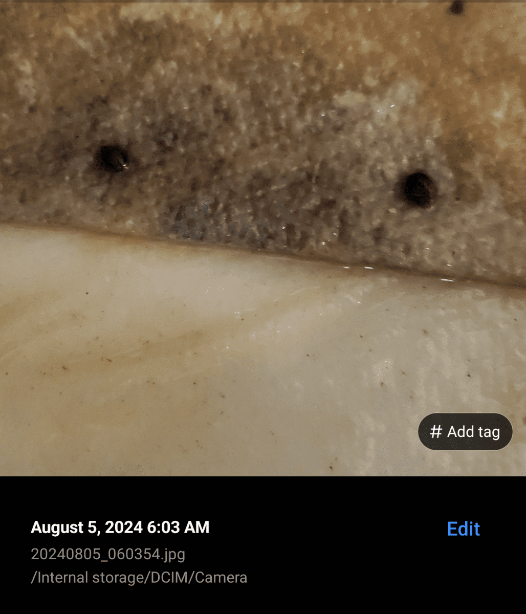 Screenshot 20240805 070952